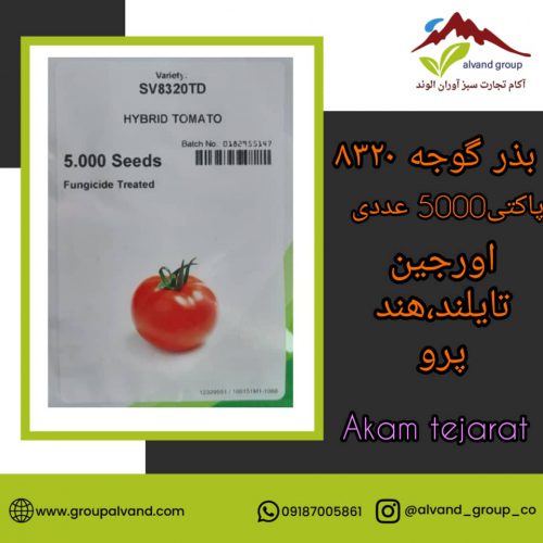 بذر گوجه sv 8320