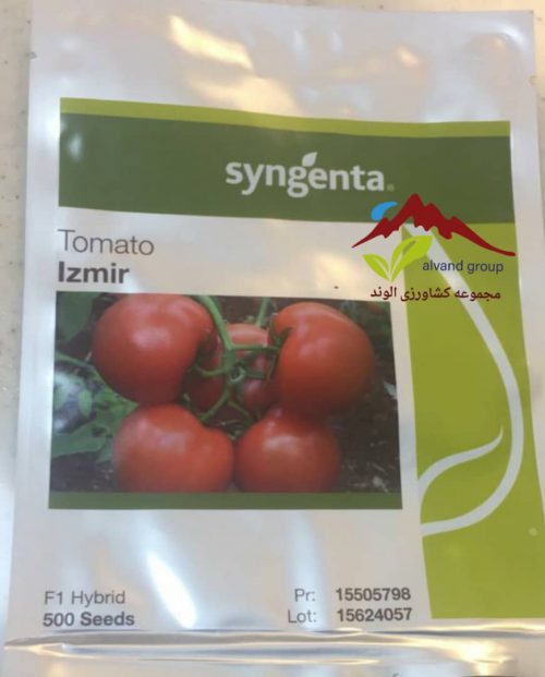 بذر گوجه ازمیر Izmir f1