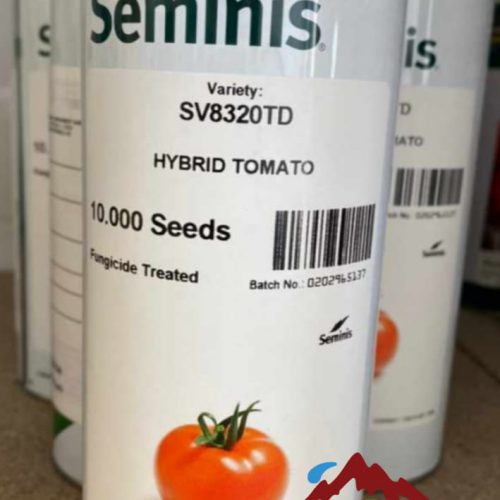 بذر گوجه 8320 قوطی