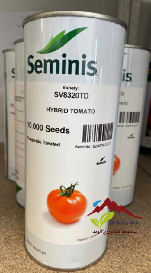 بذر گوجه 8320 قوطی