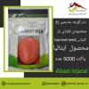 بذر گوجه فرنگی جاسمین f1